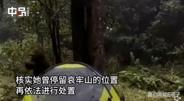 现实版云南虫谷里有什么 探险博主揭秘哀牢山之谜