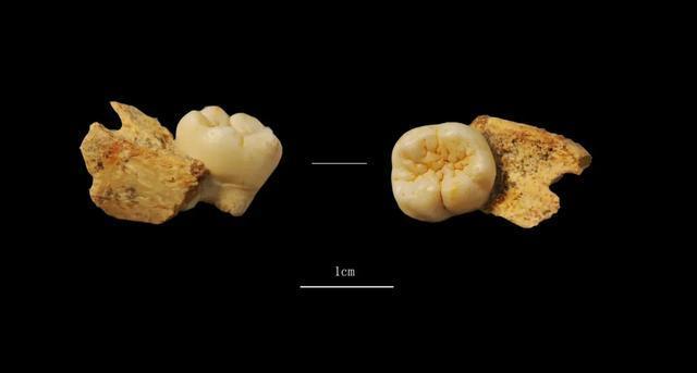 河南发现距今约5000年大墓 出土350余件遗物揭示古国文明