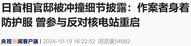 驾车冲日本首相官邸 49岁男子被捕