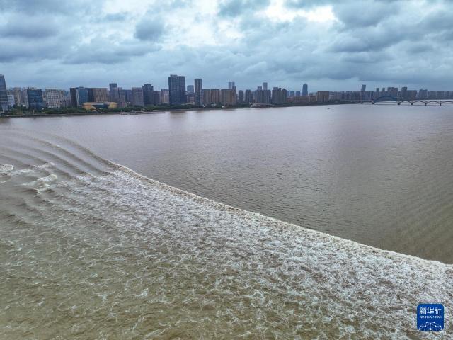 海水倒灌是怎样产生的 多种自然因素共同作用