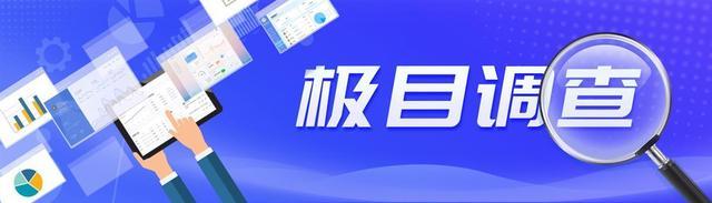 直击“赏金猎人”通宵捕野猪 应对野猪泛滥挑战