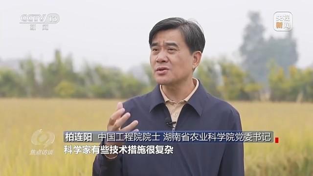 粮食产能如何再增千亿斤 科技助力单产提升