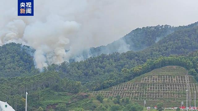 广东江门开平突发山火 火势已初步控制