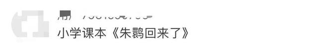 日本将把16只朱鹮归还中国 时隔8年再续友好篇章