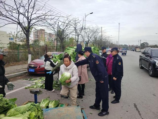 沈阳秋菜陆续上市 大白菜每斤6角到1元