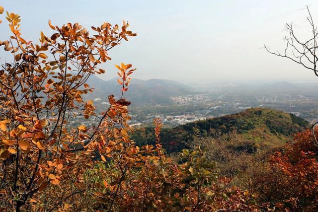 北京香山推荐三条赏红路线 秋色正浓赏景佳期