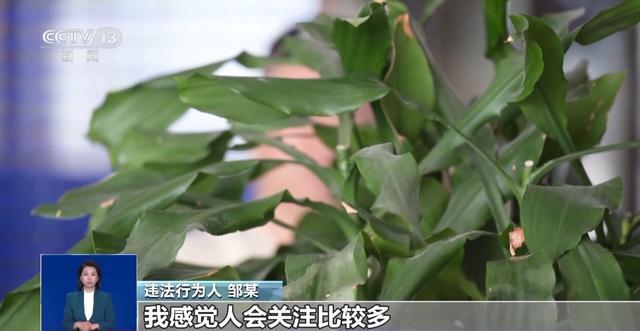 为流量编造“学校组织器官捐献” 南北两地警方联动锁定造谣者