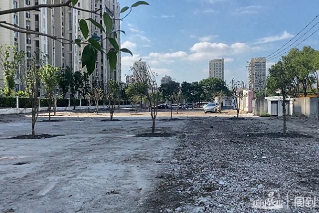 规划绿地疑似改建停车场 居民担忧生活环境受影响