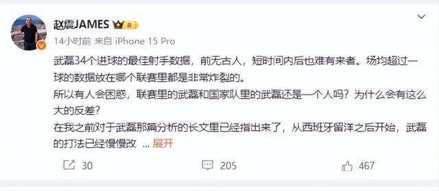 潘谈国足 武磊能和哪个亚洲球员作对比？ 金靴射手的辉煌与挑战