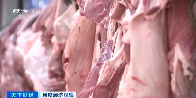 猪肉价格为何连续下降？供应增加导致