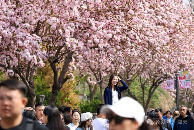 老街区里潮流新 文化气与科技感交织