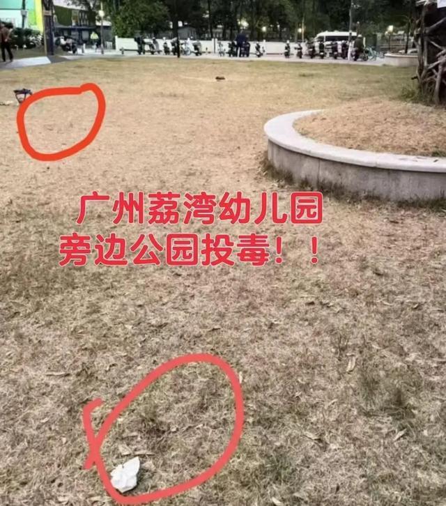 宠协工作人员称死亡犬数仍上升 警方已介入调查