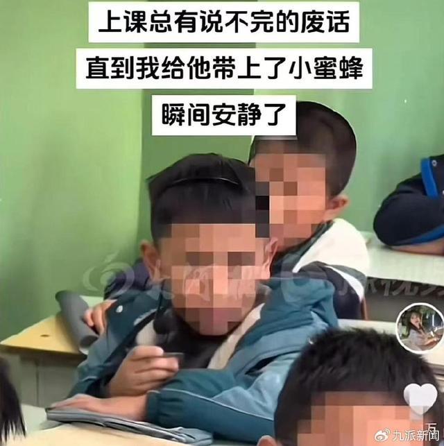 甘肃锻练厅正在核实小蜜蜂真挚身份 锻练神色引争议