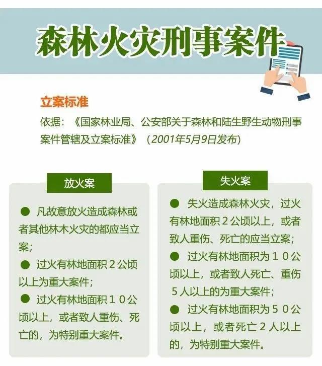 全网驳诘！12东谈主被贬责 干预林区这10件事"火"不得