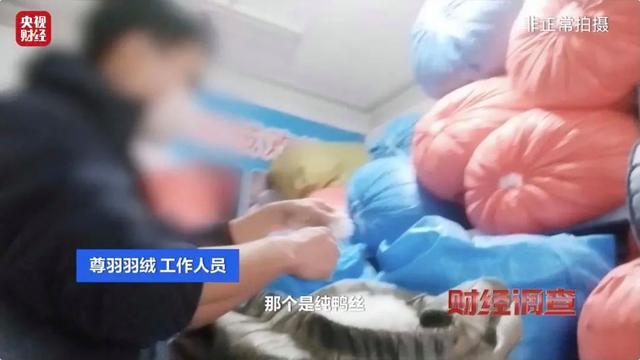 你的孩子可能正在穿！央视曝光羽绒服售假“一条龙"骗局