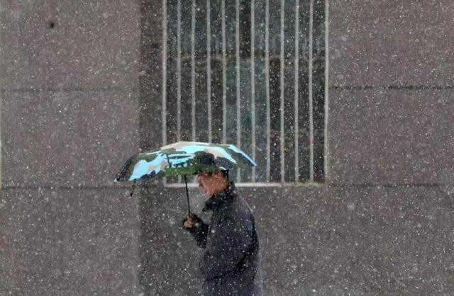 长春迎来今冬首场大雪 初雪绘就冬日画卷