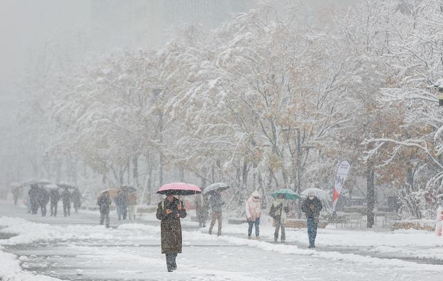 2024年11月27日，行人穿过首尔市中心的光化门广场，那里正在下雪。视觉中国 图