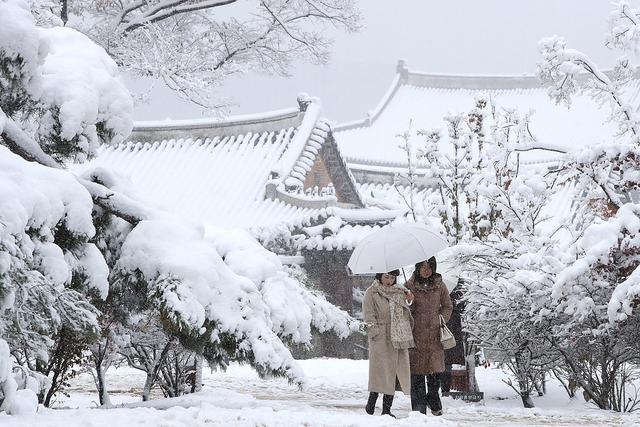 2024年11月27日，人们行走在首尔的景福宫。视觉中国 图