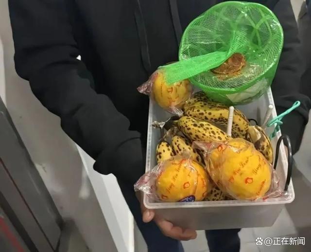 上海一学校食物疑变质有虫 家长发现过期食品引发担忧