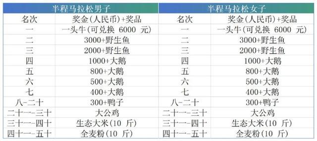 马拉松比赛“冠军奖励一头牛” 独特奖品引热议