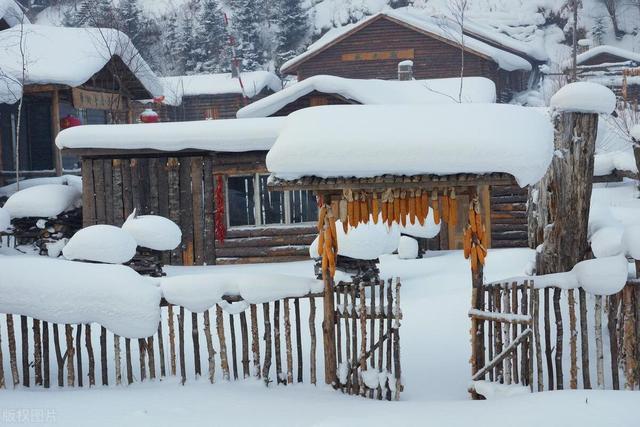 白天大雪暖烘烘夜晚大雪冻死牛有啥说法？ 预示冷冬或暖冬