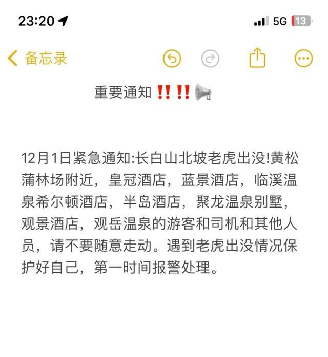 长白山疑现东北虎 景区加强警戒