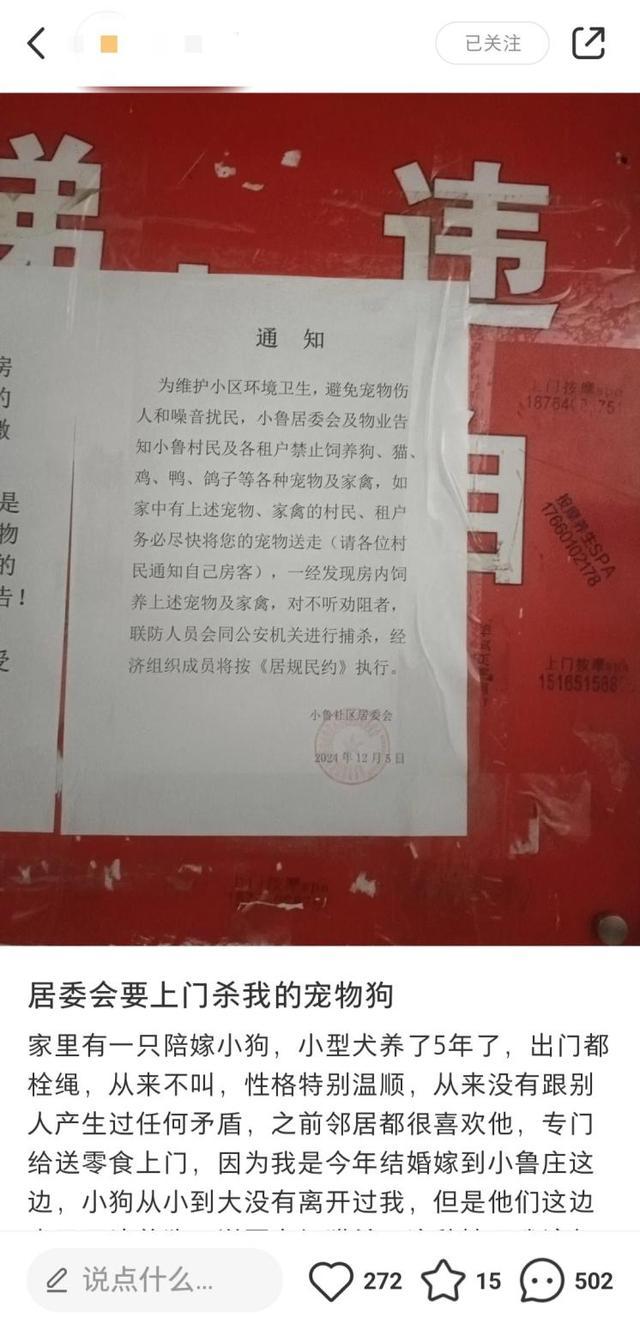 社区发布捕杀宠物通知惹争议 措辞不当引不满