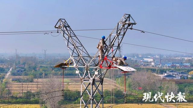 首批300套鸟类空中厕所运往巴西 创新护线爱鸟举措落地国际