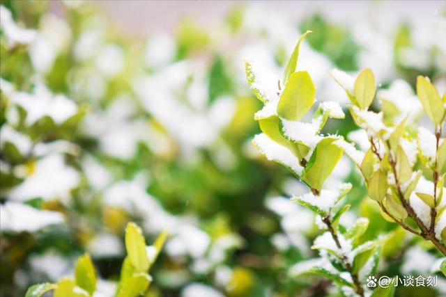 “最怕冬月十九是晴天”天晴有啥怕的？预示春节多雨雪