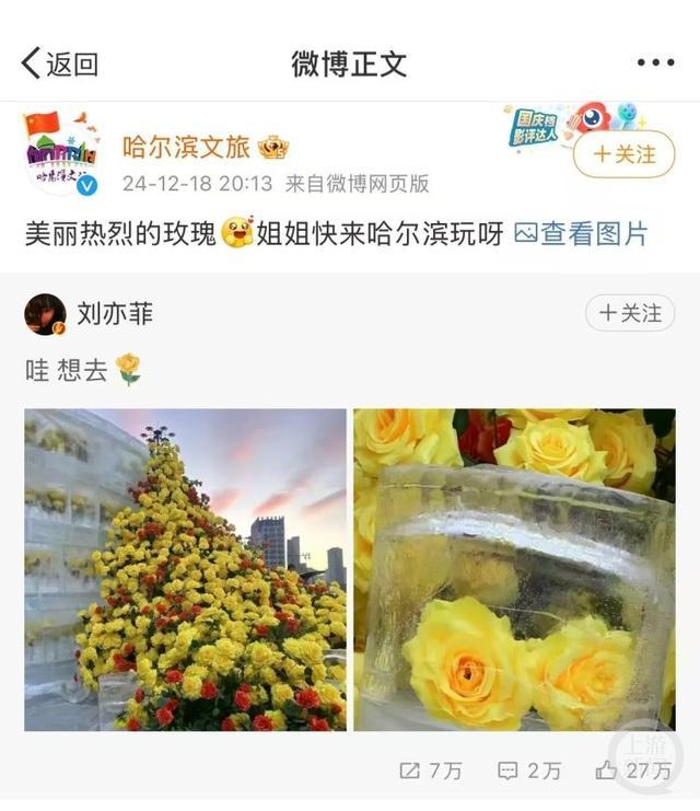 吸引刘亦菲的冰封黄玫瑰3.5小时制成 哈尔滨冬日浪漫景观