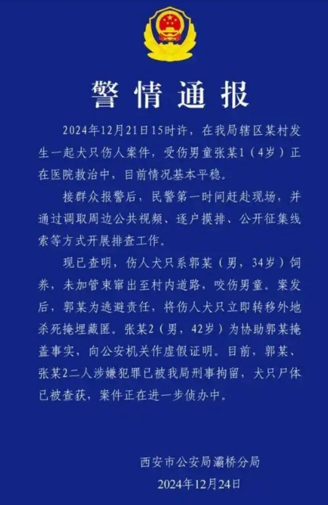 137部地方法规难管一张“狗嘴”？恶犬伤人事件频发引关注