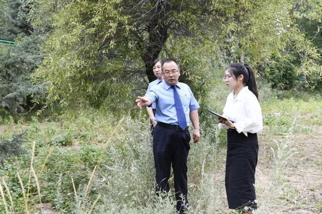 还有8天刑满释放的他被改判死缓——最高检抗诉马某林抢劫案背后