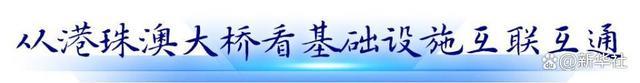 循着总书记关切，见证粤港澳大湾区新貌