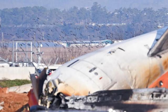 韩国空难幸存空少恐全身瘫痪 唯一男性幸存者状况危急