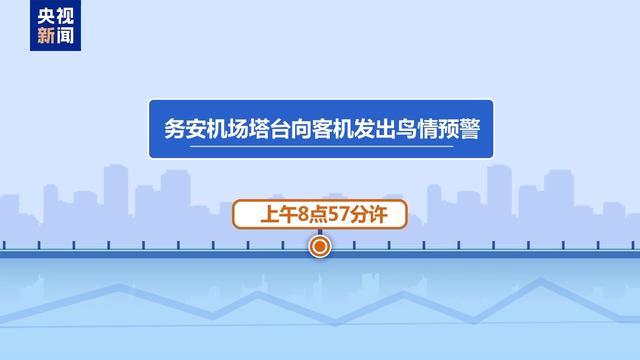 韩国客机撞墙前6分钟鸟情预警 179人遇难悲剧