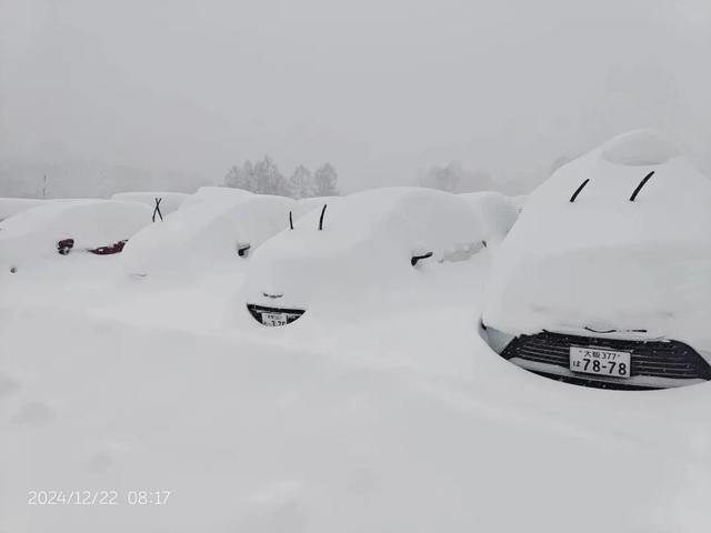 中国游客滑雪窒息身亡粉雪有多险 安全意识亟待提升