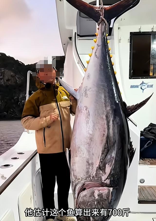 邓刚老师再陷挂鱼风波