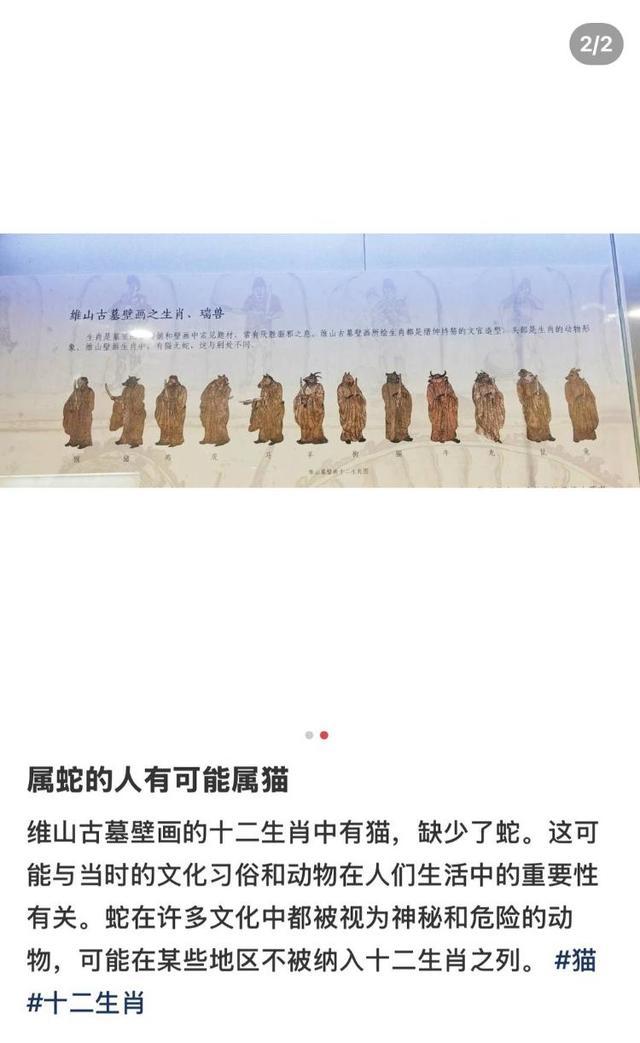 古代十二生肖壁画有猫无蛇？专家回应 或为古代特有习俗