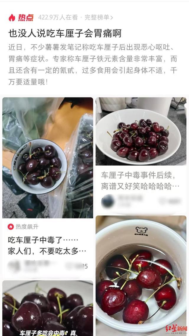 专家建议车厘子每次吃8到10颗 过量易致胃痛腹泻