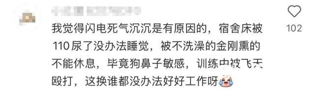 警犬被通报：上班死气沉沉到处尿尿 网友调侃“小狗狗不喜欢上班”