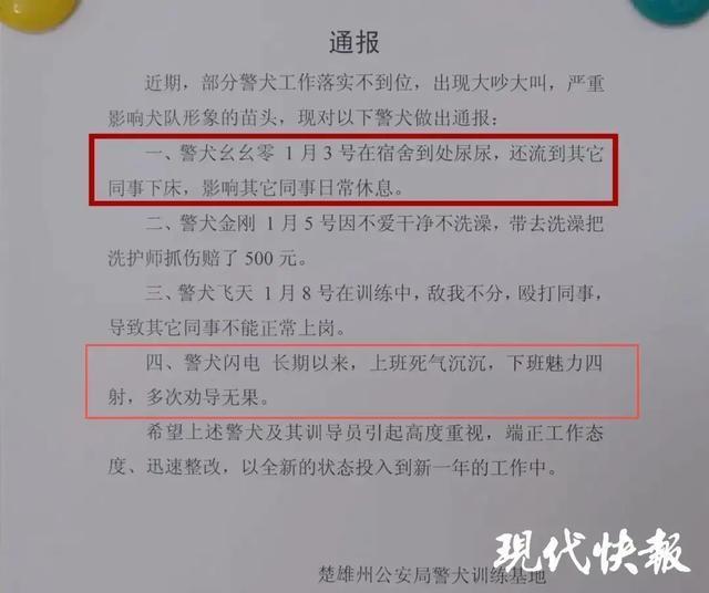 警犬被通报：上班死气沉沉到处尿尿 网友调侃“小狗狗不喜欢上班”