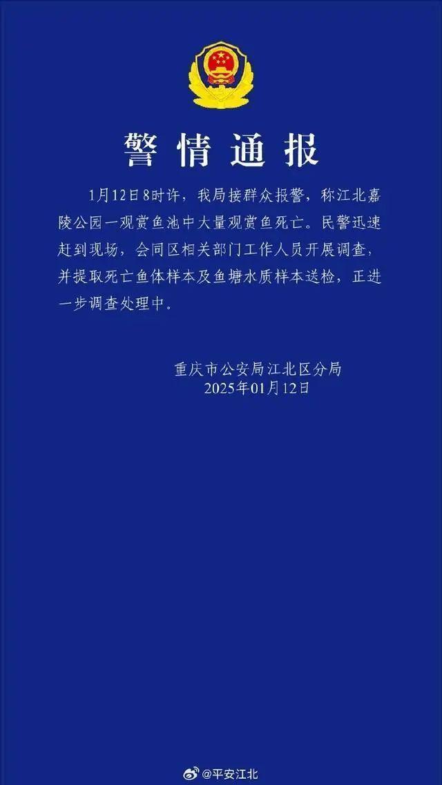 警方已提取死亡锦鲤鱼体样本送检