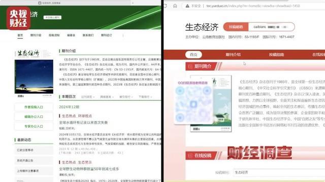 揭秘“山寨官网”骗局 假冒网站陷阱多