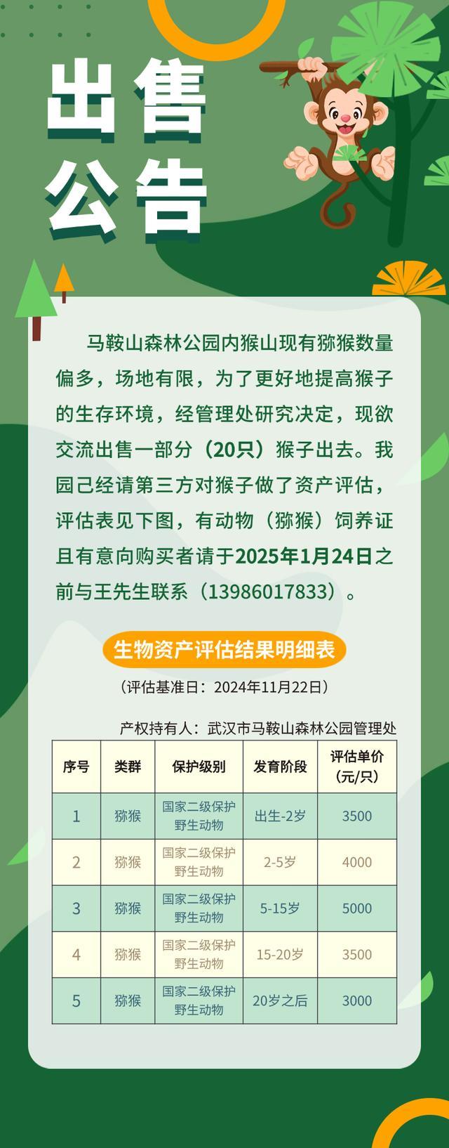 武汉一公园出售猴子 单价3000元起
