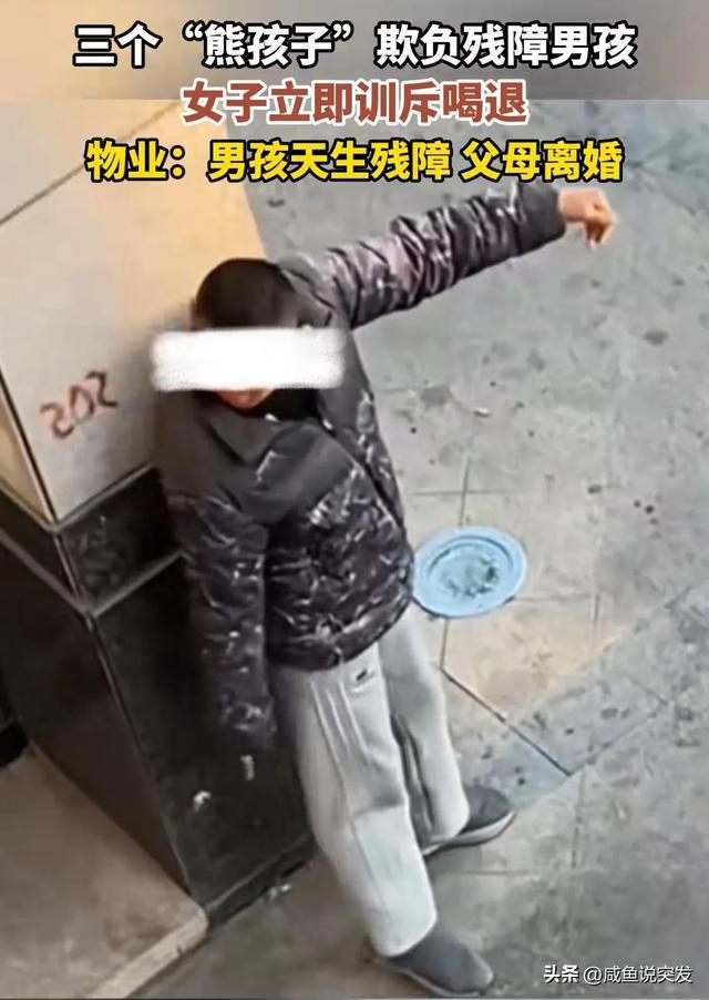熊孩子欺负残障男孩，女子大声制止！