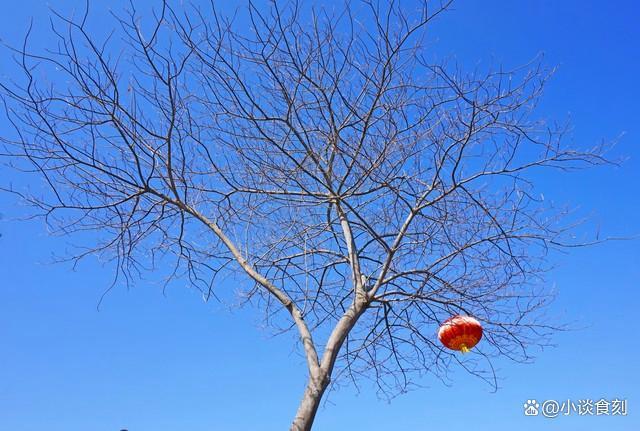 老話“最怕小年晴又暖” 今日小年有啥預(yù)兆？ 農(nóng)諺揭示天氣奧秘