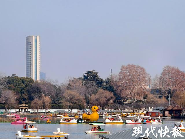 南京景區(qū)客流持續(xù)大增 春節(jié)旅游熱度飆升