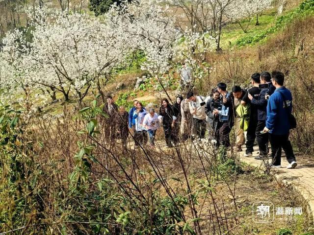 楊妞花回老家跪祭父母 正義終得昭彰