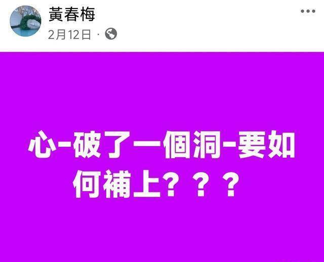 臺(tái)媒稱S媽多次在情緒失控下發(fā)文 遺產(chǎn)爭(zhēng)奪戰(zhàn)心聲