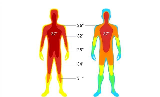 不是37℃,！多項研究發(fā)現(xiàn),，人類體溫37℃成歷史，體溫低意味著什么